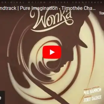 Lirik Lagu Pure Imagination - Timothee Chalamet, Beserta Terjemahannya