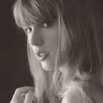 Lirik Lagu Robin Milik Taylor Swift: Terjemahan serta Maknanya