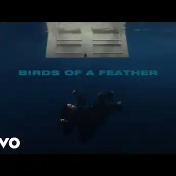Lirik Lagu 'BIRDS OF A FEATHER' oleh Billie Eilish dan Terjemahannya