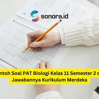 Contoh Soal PAT Biologi Kelas 11 Semester 2 dan Jawabannya Kurikulum Merdeka