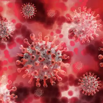Varian Covid JN.1 Meningkat, Apa Gejalanya? Berikut Penjelasan Ahli Mikrobiologi Sumsel