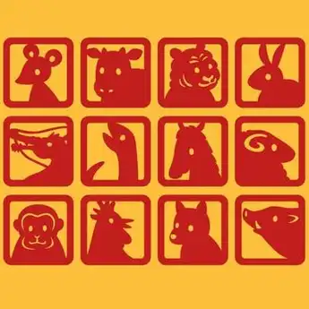 Ramalan Shio Hari Ini 30 Juni 2024: Shio Naga, Ular, Monyet, Anjing, Babi