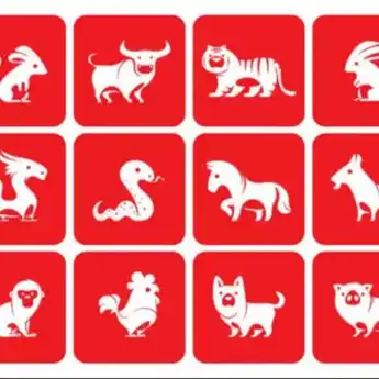 Ramalan Shio Besok 2 Juli 2024: Shio Naga, Ular, Monyet, Anjing, Babi 