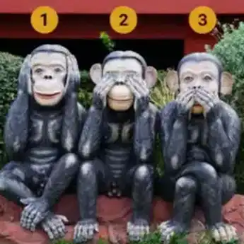 Tes Kepribadian: Mana Monyet yang Paling Kamu Suka Tunjukkan Sikapmu