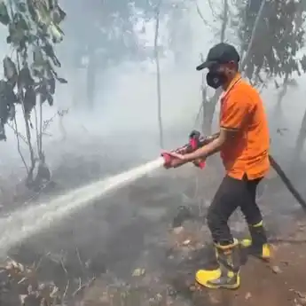 BPBD Provinsi Kalbar Sebut Terdapat 271 Titik Panas