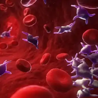 Kadar Trombosit Rendah? Ini 8 Cara Menaikkan Trombosit Secara Alami!