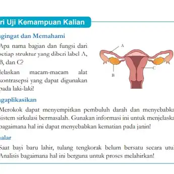 Kunci Jawaban IPA Kelas 9 Halaman 44 Kurmer : Sistem Reproduksi