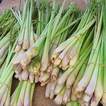 15 Manfaat Kesehatan Sereh untuk Kesehatan yang Bisa Mengubah Hidupmu!