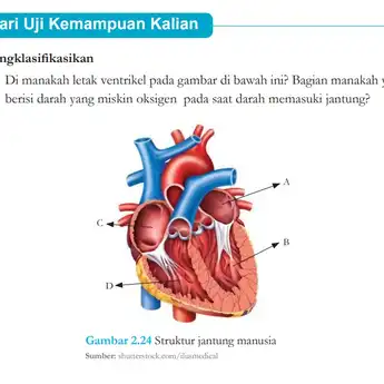 Kunci Jawaban IPA Kelas 8 Halaman 64 Kurikulum Merdeka