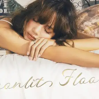 Lirik Lagu dan Terjemahan 'Moonlit Floor' - LISA, Tentang Frederic Arnault?