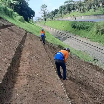 Hingga September 2024, Daop 2 Bandung Sudah Tanam 9.236 Pohon Akar Wangi (Vetiver) untuk Cegah Longsor