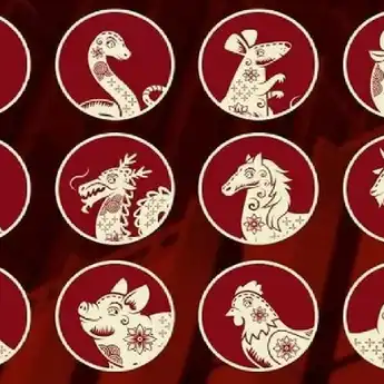 Ramalan Shio Besok 11 Desember 2024: Shio Naga, Ular, Monyet, Anjing, Babi