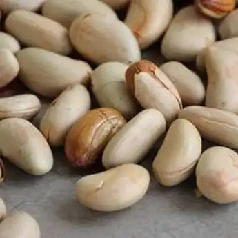 10 Manfaat Biji Nangka, Sebuah Alternatif Sehat yang Kaya Nutrisi