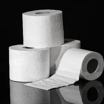 Mulai Dari Daun Hingga Kertas, Ini Sejarah Panjang Kertas Toilet