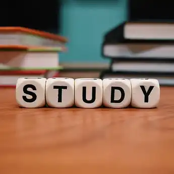 20 Contoh Soal Seni Rupa Kelas 3 SD Semester 1 Kurikulum Merdeka