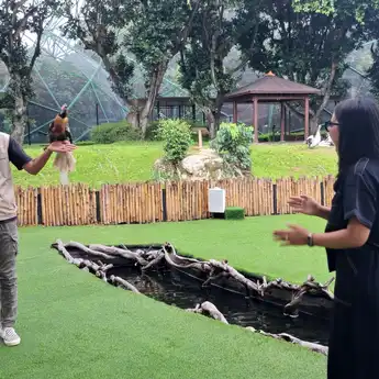 Jagat Satwa Nusantara Sunset di Kebun, Ajak Anak Muda Peduli Satwa