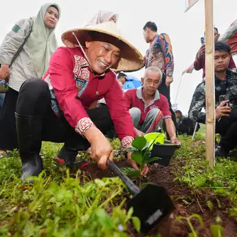 Sulsel Gencarkan Rehabilitasi Hutan dan Lahan, Capaian IKLH Meningkat Signifikan