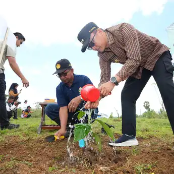 Sulsel Terus Gencar Lakukan Rehabilitasi Hutan dan Lahan untuk Pulihkan Ekosistem