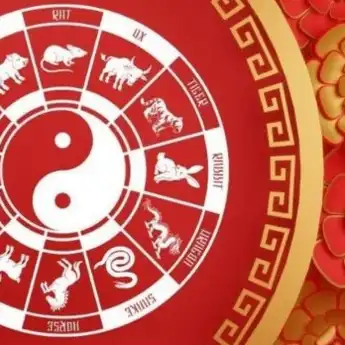 Ramalan Shio Besok 12 Desember 2024: Shio Naga, Ular, Monyet, Anjing, Babi