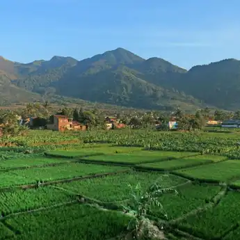 Mau Liburan Bareng Si Kecil? Ini 7 Rekomendasi Hotel Ramah Anak di Puncak