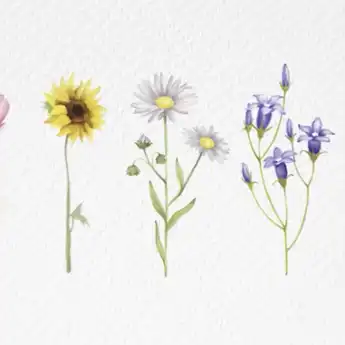 Lirik Lagu 'wildflower' – yung kai, Lengkap dengan Terjemahannya