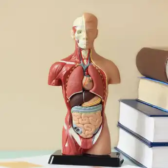 Materi Biologi Kelas 10 Semester 2 Kurikulum Merdeka