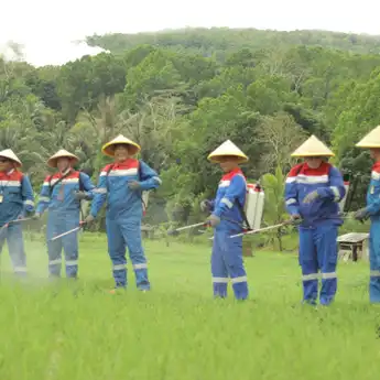 PGE Lahendong Berkomitmen Ciptakan Pertanian Berkelanjutan melalui Penyemprotan Perdana Pupuk Booster Katrili di Tomohon