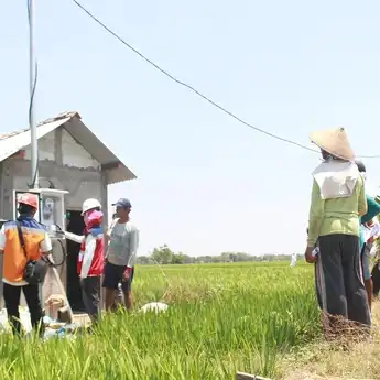 Electrifying Agriculture PLN Raih 53.539 Pelanggan Baru di Tahun 2024