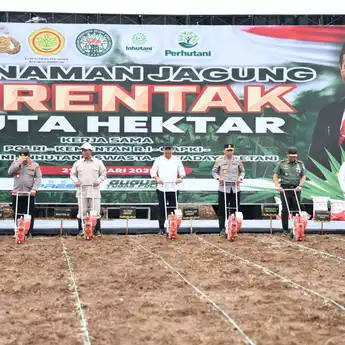 Gerakan Penanaman Jagung Serentak 1 Juta Hektare Dukung Target Swasembada Pangan 2025