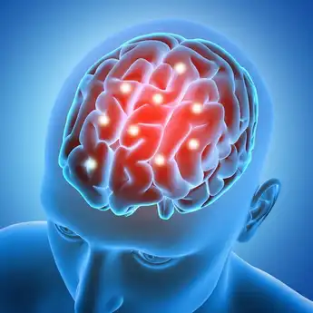 Brain Rot: Pengertian dan Tanda-tandanya yang Ada Pada Tubuh Manusia