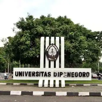 Nilai Rata-rata SNBP UNDIP 2025, Lengkap semua Jurusan