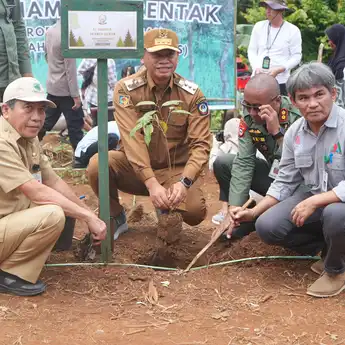 Kolaborasi Kementerian Kehutanan dan Pertanian, Penanaman Serentak Agroforestry Pangan Digelar di Takalar
