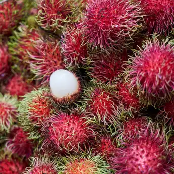 Resep Manisan Rambutan yang Segar dan Nikmat Bikinnya Cuma 3 Step