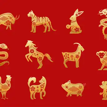 Ramalan Shio Besok, Sabtu 8 Maret 2025: Shio Kelinci, Naga, Ular, Tikus, Kerbau, dan Macan