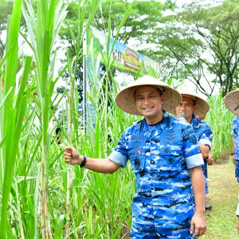 Dukung Asta Cita Pemerintah, Kasau Tinjau Program Ketahanan Pangan di Dirgantara Farm Lanud Wiriadinata