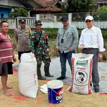 Sudah Lebih Dari 100% BULOG Jabar Serap Gabah Petani