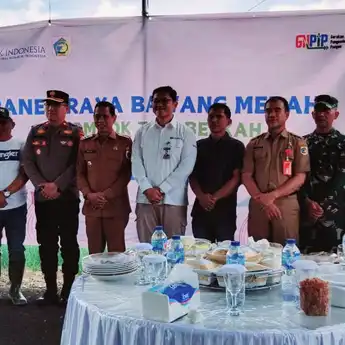10 Anggota Poktan Berkah Kotamobagu Sukses Panen Raya Bawang Merah