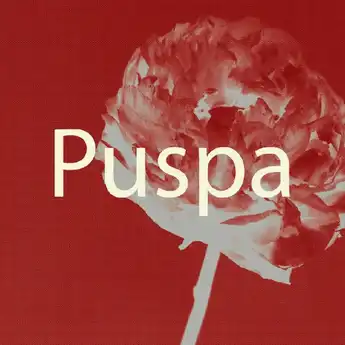 Lirik Lagu Puspa - Dere Lengkap Beserta dengan Makna Lagunya