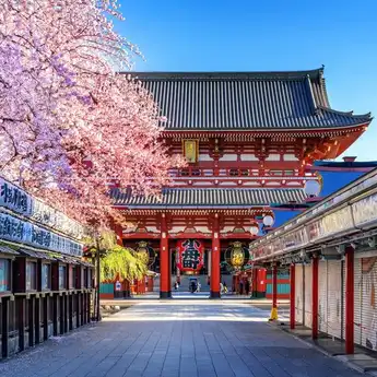 5 Resep Panjang Umur dan Awet Muda Seperti Warga Jepang, Apa Saja?