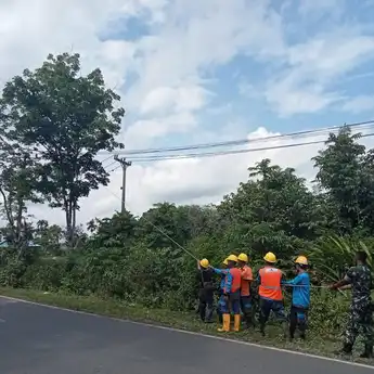 PLN Imbau Masyarakat Waspadai Aktivitas Berbahaya di Dekat Instalasi Listrik Selama Musim Kemarau