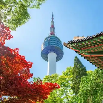 Tips Pilih Paket Tour ke Korea Selatan 2025 untuk Musim Panas: Destinasi dan Harga