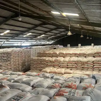 Rekor! BULOG Jabar Serap 352 Ribu Ton Beras Petani, Tertinggi Sepanjang Sejarah!