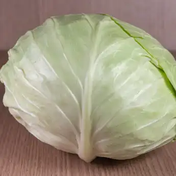 5 Manfaat Mengkonsumsi Sayur Kol yang Tak Banyak Orang Tahu