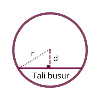 4 Contoh Soal Tali Busur Lingkaran Kelas 11, Lengkap dengan Pembahasan