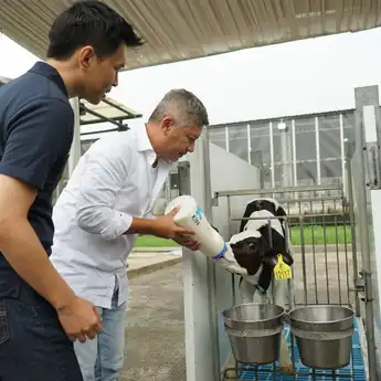 Gading Marten Mengadopsi Moo Moo di Garut