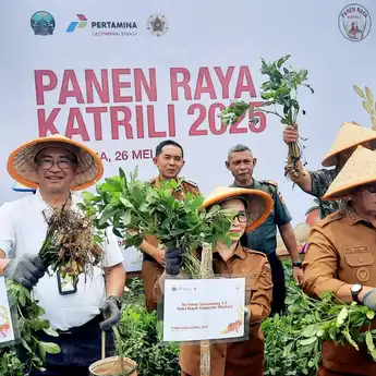 Wujudkan Swasembada Energi dan Ketahanan Pangan PGE Lahendong Sukses Panen Raya Katrili di Minahasa