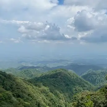 Jaga Rimba Lereng Gunung Wilis, Masyarakat dan Pemerintah Serentak Bertindak dalam Konservasi Ekosistem Berkelanjutan