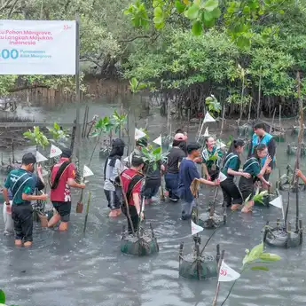 Telkomsel dan Ciro Waste Tanam 600 Bibit Mangrove di Balikpapan
