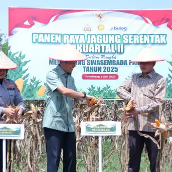 Wali Kota Palembang Dukung Panen Raya Jagung Nasional Bersama Presiden Prabowo