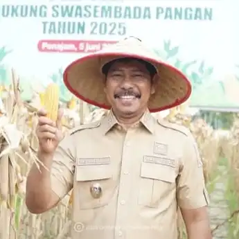 Panen Raya Jagung, Wabup PPU: Luar Biasa Hasilnya